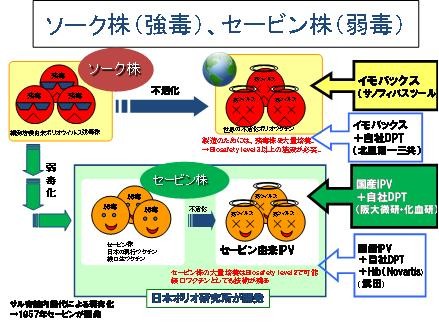 ソーク株・セービン株