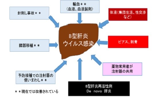 型 肝炎 ワクチン b